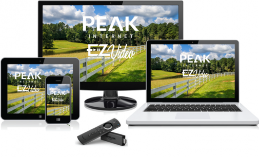 EZ-LINEUP-POLK EZ-LINEUP-POLK