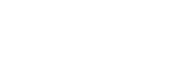 $55_2 $55_2