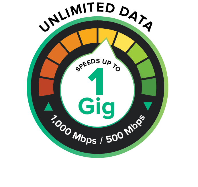 Unlimited Data 1 Gig