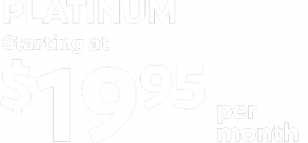 1995permonth-1 1995permonth-1
