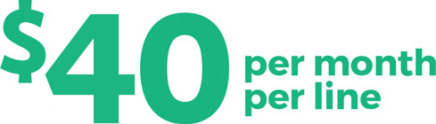 40permonthperline $40 per month per line