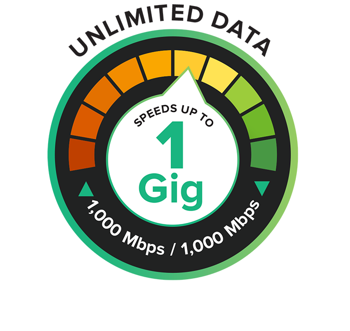 Unlimited-Data-1-Gig